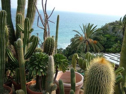 Bordighera - italiană în rusă