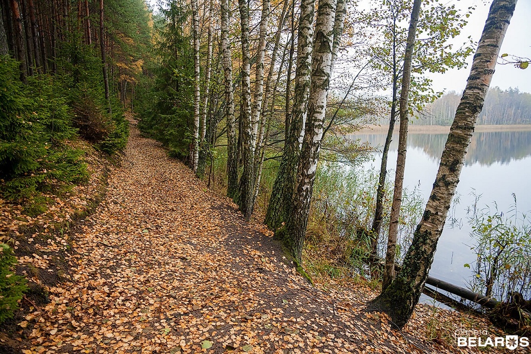 Mi a teendő a nyáron a Naroch és miért kellene feltétlenül megy 1 (do) Mi a teendő a nyáron a Naroch és miért kellene feltétlenül megy 1