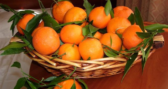 Mandarinele și mandarinele sunt utile, este interesant pentru toată lumea