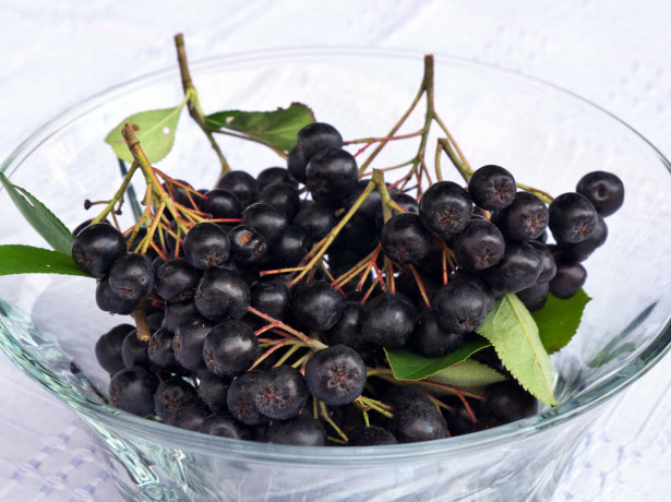 Chokeberry - proprietăți medicinale sub presiune și hipertensiune