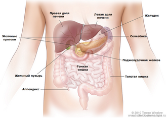 Що робити якщо болить селезінка - gtsf