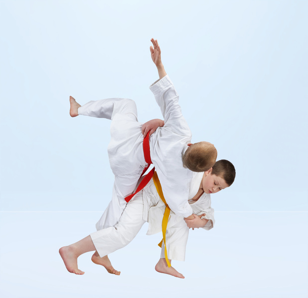 Ce este comun între sambo și judo și cum diferă acestea