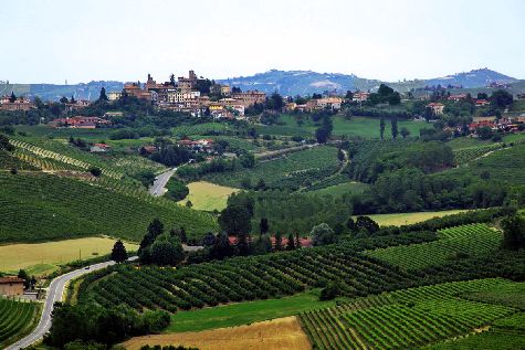 Ce să vezi și să faci în orașul Piedmont, cultură, regiunea Piemont pe harta Italiei