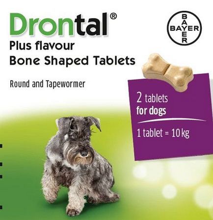 Drontal Plus kutyák, tabletták férgek használati utasítás és visszajelzés