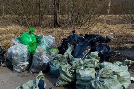 Egyéb szombaton, hogyan kell bekapcsolni szemétgyűjtő egy izgalmas küldetés - eltérő lehet