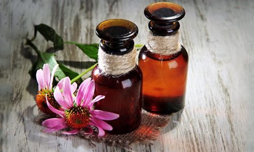 Echinacea cu beneficii de herpes și aplicare de prescripție