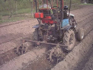 Їжачки для прополки картоплі допоможуть отримати високий урожай відео