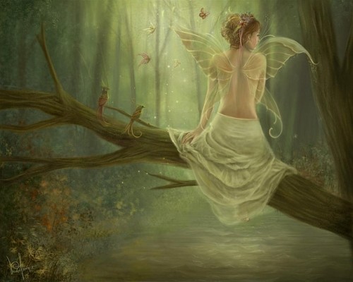 Fairies - magia shuvany