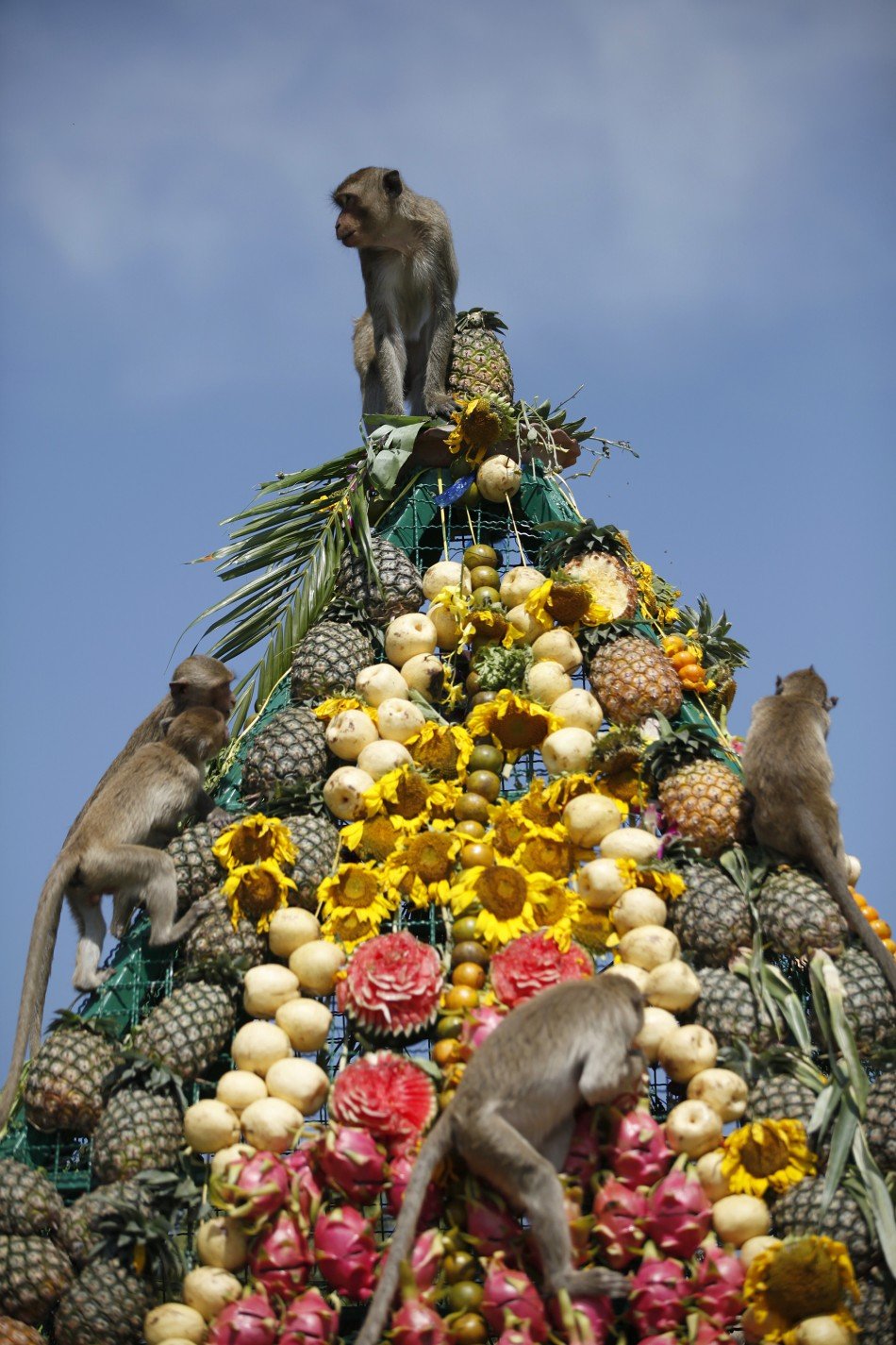 Monkey Festival în Thailanda