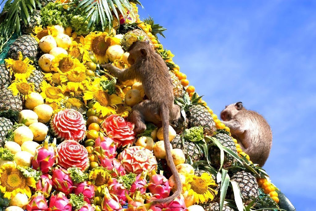 Monkey Festival în Thailanda