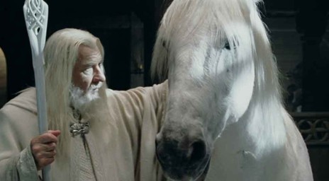 Фільм - володар кілець знаменитий білий кінь Гендальфа сполох невиліковно хворий - дозвілля -