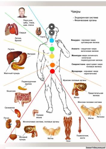 Aura fotografii prin metoda Kirlian, chakras - savęs pažinimas