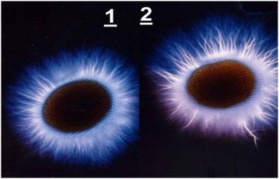 Aura fotografii prin metoda Kirlian, chakras - savęs pažinimas