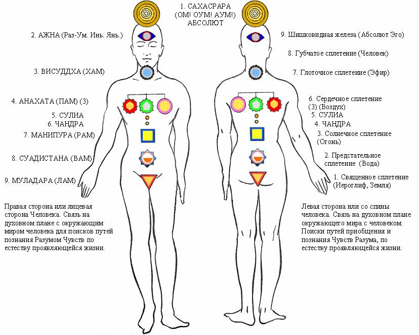 Aura fotografii prin metoda Kirlian, chakras - savęs pažinimas