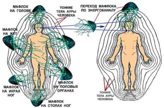 Aura fotografii prin metoda Kirlian, chakras - savęs pažinimas