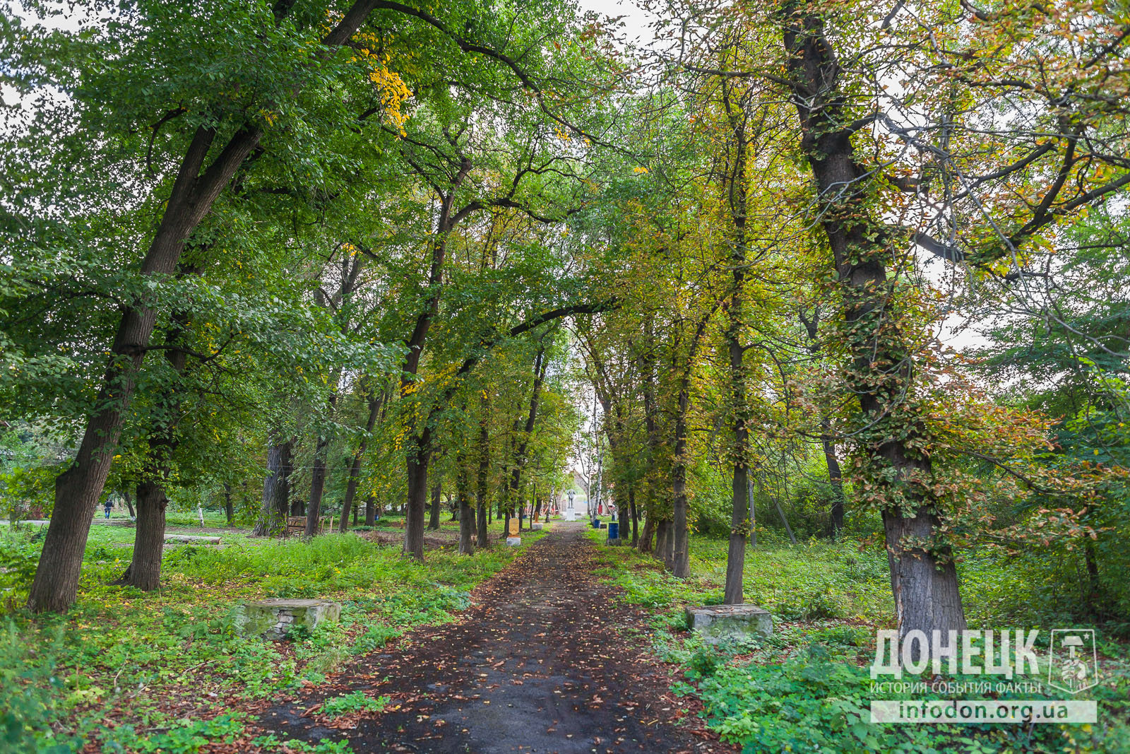 Фото з парку садиби Мсціховского, луганська область, Селезнівка, донецк історія, події, факти