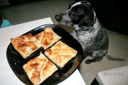 Ahol enni KHACHAPURI Grúzia Ajaria, Guria, Imereti KHACHAPURI Batumi (Imereti) Ahol enni KHACHAPURI Grúzia Ajaria, Guria, Imereti KHACHAPURI Batumi