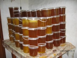 Principala colecție de miere - condiții pentru creșterea colecției de miere