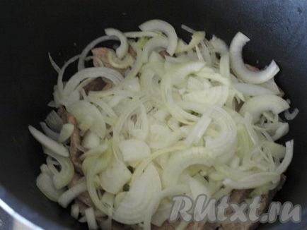 Carne de vită cu legume în kazan - pregătim pas cu pas din fotografie