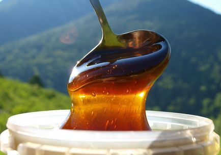 Honey de hrișcă - proprietăți utile și contraindicații