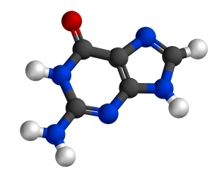 Guanine, complementaritate, selecție de condiții atractive