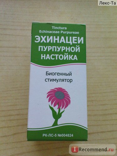 Імуномодулюючий засіб галенофарм ехінацея - «настоянка ехінацеї допомагає при герпесі всередину і