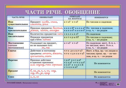 Lecție de internet în limba rusă - părți ale discursului, clasa 39