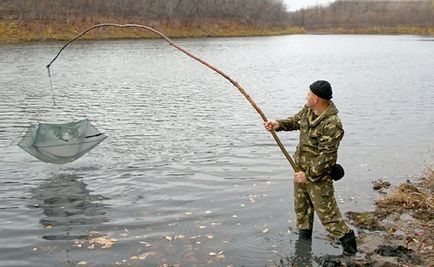 Cum să obțineți și să salvați sfaturi live pe piper