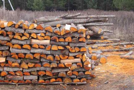 Якими дровами краще топити баню, огляд різних порід деревини