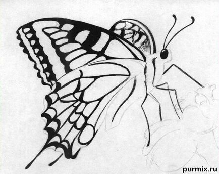 Как да нарисувате пеперуда върху цвете, моливи етапи