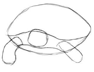 Cum de a desena o broasca testoasa pas cu pas pentru incepatori