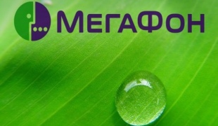 Cum puteți anula un serviciu de megafon