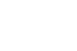 Як відрізнити справжню норкову шубу від підробки 12 порад