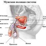 Як перевірити роботу кнопки esc