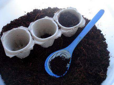 Cum să semene semințe într-un substrat de nucă de cocos, germeni de piper, blog verde