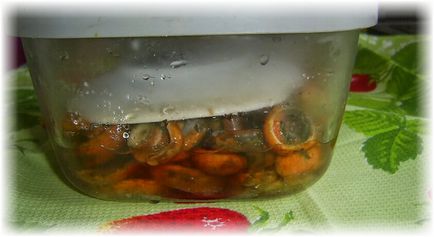 Як солити гриби рижики за допомогою гарячого і холодного методу