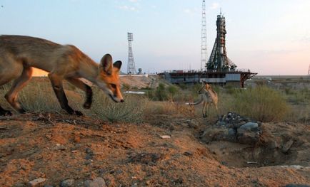 Як стартує космічний корабель, наука і життя