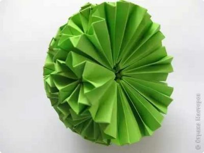 Cactus modul kusudama 