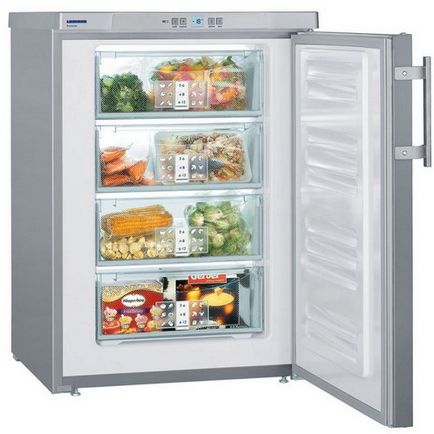 Cum sa alegi un congelator pentru o casa de o varietate, caracteristici, posibilitati
