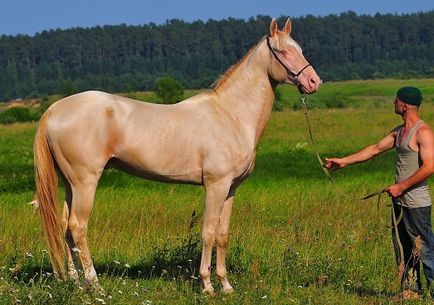 Ce crezi, ce animal de pe pământ este cel mai frumos, moale și dulce