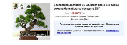 Cum i-am cumpărat bonsai pe aliexpress, pene și recenzii - 3620017