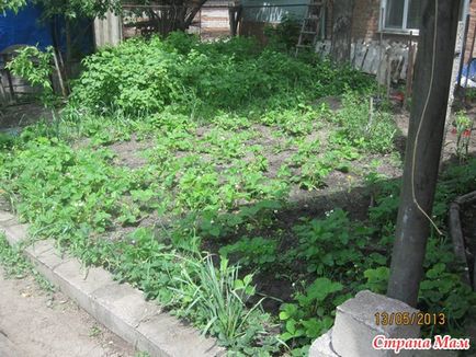 Як я саджу помідори і трохи моєї ділянки))) - сад, город - країна мам
