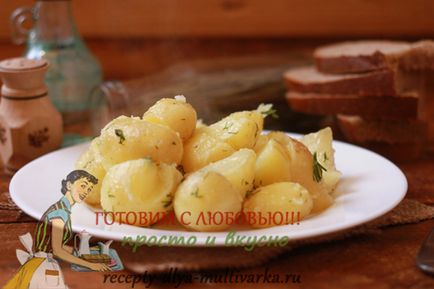 Burgonya párolt multivarka recept (Polaris) Burgonya párolt multivarka recept