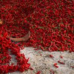 Cayenne bors kezelés és hasznos tulajdonságait, piros chili por