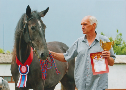 Кирилиця, орловські рисаки «гордість російського конярства»