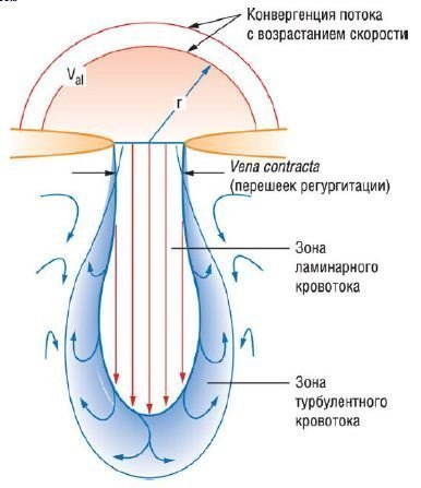 Supapele cardiace pe ecocardiogramă