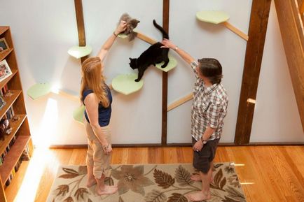Cat Paradise () macska paradicsom