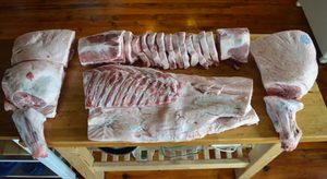 Rump, structura porcului, schema de tăiere a carcasei de carne de porc și ceea ce trebuie să știți atunci când cumpărați carne