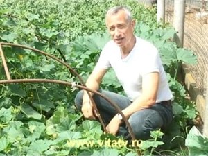 Cry a lélek a beteg sok férfi (Nagyítás ág kibontása ág) Cry a lélek a beteg sok férfi
