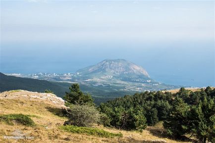 Кримський природний заповідник